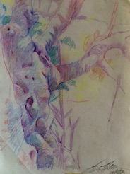 Gnarly tree trunk
crayon Gnarly tree trunk
crayon